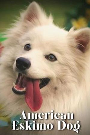 American Eskimo Dog: Dog breed overview and guide