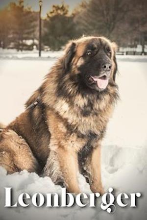 Leonberger: Dog breed overview and guide