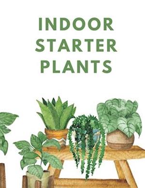 INDOOR STARTER PLANTS: "Your Guide to Thriving Indoor Plants: Tips and Tricks for Beginners"