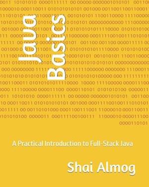 Java Basics: A Practical Introduction to Full-Stack Java
