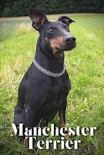 Manchester Terrier: Dog breed overview and guide 