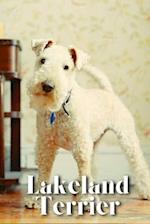 Lakeland Terrier: Dog breed overview and guide 