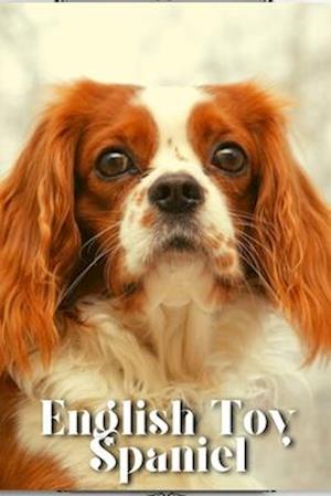 English Toy Spaniel: Dog breed overview and guide