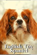 English Toy Spaniel: Dog breed overview and guide 