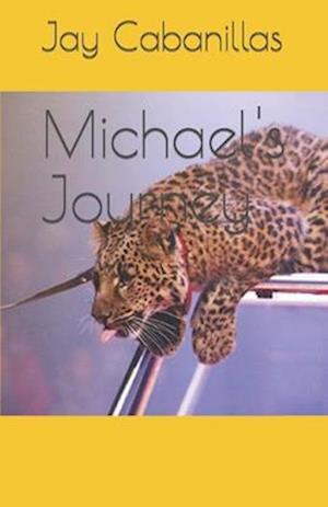 Michael's Journey