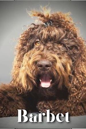 Barbet: Dog breed overview and guide