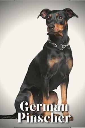 German Pinscher: Dog breed overview and guide