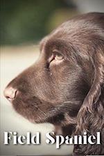 Field Spaniel: Dog breed overview and guide 