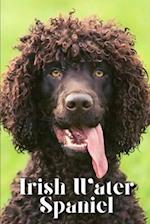 Irish Water Spaniel: Dog breed overview and guide 