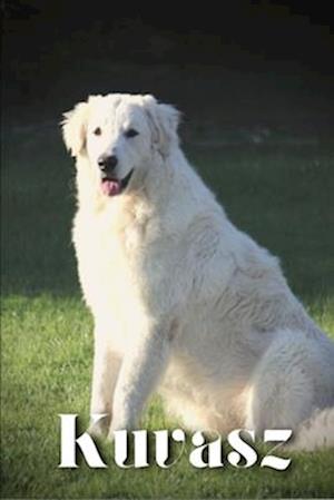 Kuvasz: Dog breed overview and guide