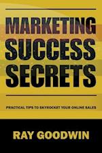 Marketing Success Secrets: Practical tips to skyrocket your online sales 
