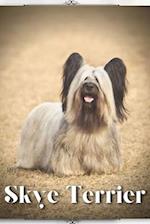 Skye Terrier: Dog breed overview and guide 