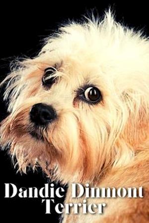 Dandie Dinmont Terrier: Dog breed overview and guide