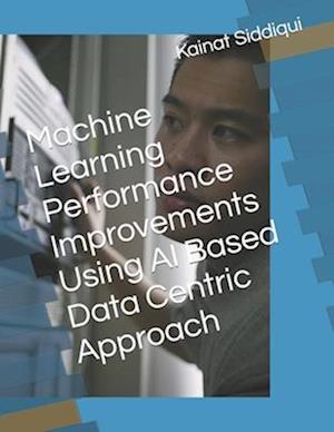 Machine Learning Performance Improvements Using AI Based Data Centric Approach