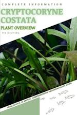 Cryptocoryne Costata: From Novice to Expert. Comprehensive Aquarium Plants Guide 