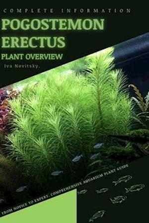 Pogostemon Erectus: From Novice to Expert. Comprehensive Aquarium Plants Guide