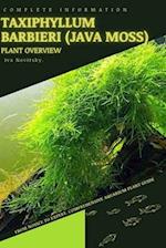 Taxiphyllum Barbieri (Java Moss): From Novice to Expert. Comprehensive Aquarium Plants Guide 