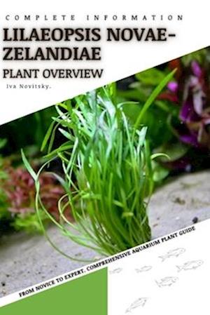 Lilaeopsis Novae-zelandiae: From Novice to Expert. Comprehensive Aquarium Plants Guide