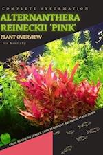 Alternanthera Reineckii 'Pink': From Novice to Expert. Comprehensive Aquarium Plants Guide 