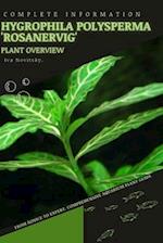 Hygrophila polysperma 'Rosanervig': From Novice to Expert. Comprehensive Aquarium Plants Guide 