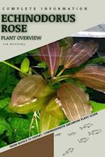 Echinodorus Rose: From Novice to Expert. Comprehensive Aquarium Plants Guide 