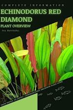 Echinodorus Red Diamond: From Novice to Expert. Comprehensive Aquarium Plants Guide 