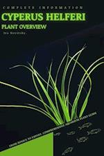 Cyperus helferi: From Novice to Expert. Comprehensive Aquarium Plants Guide 