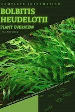 Bolbitis heudelotii: From Novice to Expert. Comprehensive Aquarium Plants Guide 