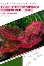 Tiger Lotus Nymphaea Zenkeri Red - Bulb: From Novice to Expert. Comprehensive Aquarium Plants Guide 