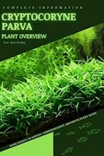 Cryptocoryne Parva: From Novice to Expert. Comprehensive Aquarium Plants Guide 