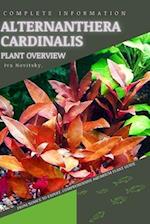 Alternanthera Cardinalis: From Novice to Expert. Comprehensive Aquarium Plants Guide 