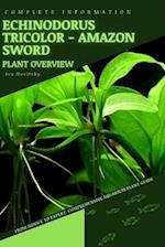 Echinodorus Tricolor - Amazon Sword: From Novice to Expert. Comprehensive Aquarium Plants Guide 