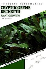 Cryptocoryne Beckettii: From Novice to Expert. Comprehensive Aquarium Plants Guide 