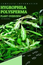 Hygrophila Polysperma: From Novice to Expert. Comprehensive Aquarium Plants Guide 