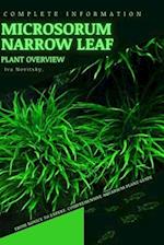 Microsorum Narrow Leaf: From Novice to Expert. Comprehensive Aquarium Plants Guide 