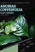 Anubias Coffeifolia: From Novice to Expert. Comprehensive Aquarium Plants Guide 