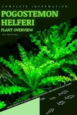 Pogostemon Helferi: From Novice to Expert. Comprehensive Aquarium Plants Guide 