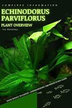 Echinodorus parviflorus: From Novice to Expert. Comprehensive Aquarium Plants Guide 