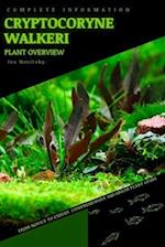 Cryptocoryne Walkeri: From Novice to Expert. Comprehensive Aquarium Plants Guide 