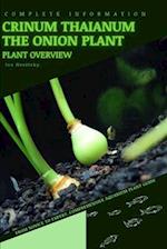 Crinum Thaianum The Onion Plant: From Novice to Expert. Comprehensive Aquarium Plants Guide 
