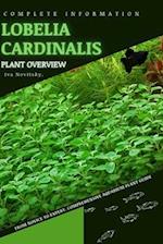Lobelia cardinalis: From Novice to Expert. Comprehensive Aquarium Plants Guide 