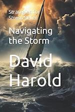Navigating the Storm: Strategies for Stress Relief 