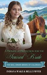 A Promise of Protection for the Scarred Bride 