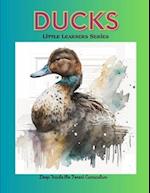 Ducks - Little Learners Series: Deep Inside the Forest Curriculum 