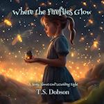 Where the Fireflies Glow: A Story About God's Guiding Light 