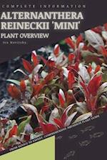 Alternanthera Reineckii 'Mini' : From Novice to Expert. Comprehensive Aquarium Plants Guide 