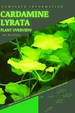 Cardamine lyrata: From Novice to Expert. Comprehensive Aquarium Plants Guide 