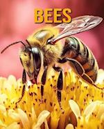 Bees: Fun Facts Book for Kids 