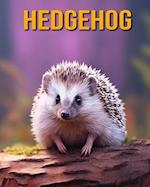 Hedgehog: Fun Facts Book for Kids 