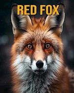 Red Fox: Fun Facts Book for Kids 